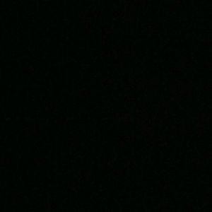 Meet your Posher, Hunter